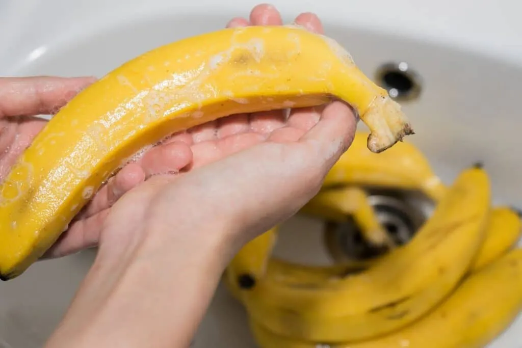 Effektiver Trick: Fruchtfliegen in der Küche loswerden