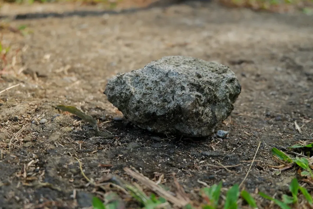 Abschied vom Zement — Forscher entwickeln Baustoffe nur aus Erde, Wasser und recycelter Pappe